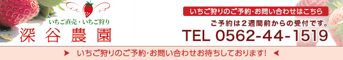 愛知県知多半島にある深谷農園のいちご狩りのお問い合わせはこちら