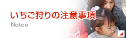 いちご狩りの注意事項